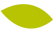 FEUILLE VERTE DU LOGO