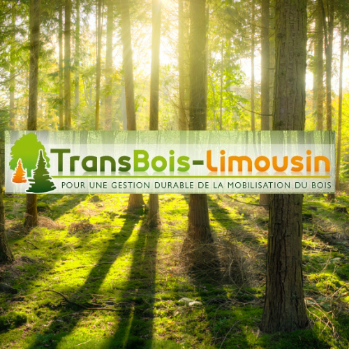 visuel transbois